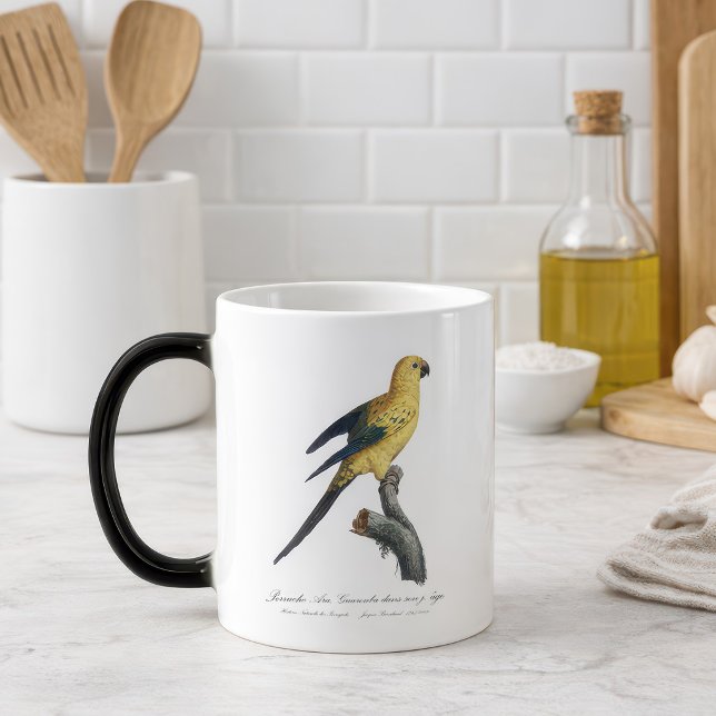 Caneca Mágica Periquito-rei ou Aratinga solstitialis (Guarouba dans sons jeune age / Sun parakeet. Color Morph Mug)