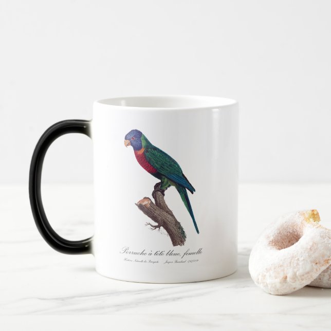 Caneca Mágica Perruche a tete bleue, femelle/Rainbow lorikeet, (Com Donut)