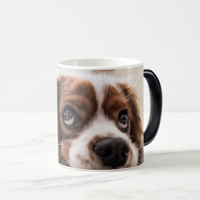 Caneca Mágica Pet Morphing Mug Personalizado - Foto Reveal Mug (Frente Esquerda)