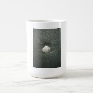 Caneca Mágica Preso em uma Concha: Conjunto de Cozinha Costeira 