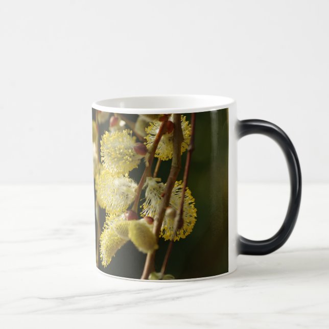 Caneca Mágica Primavera Mug (Direita)