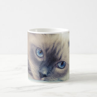 Caneca Mágica Ragdolas Gato Azuis