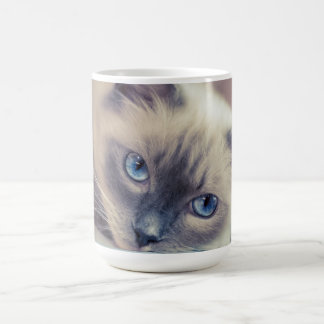 Caneca Mágica Ragdolas Gato Azuis