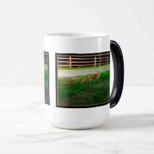 Caneca Mágica Red Fox Morphing Mug