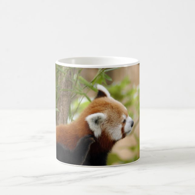 Caneca Mágica red-panda-035 (Centro)