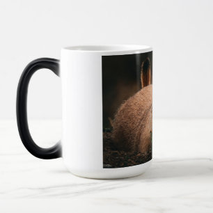 Caneca Mágica Segundas-feiras..