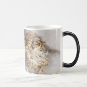 Caneca Mágica Sparrow - Falha Epic Previsão do Tempo