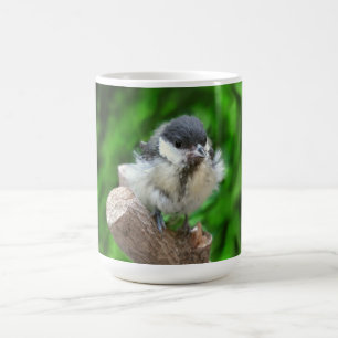 Caneca Mágica Tidi, meu Pássaro, o Parus Major