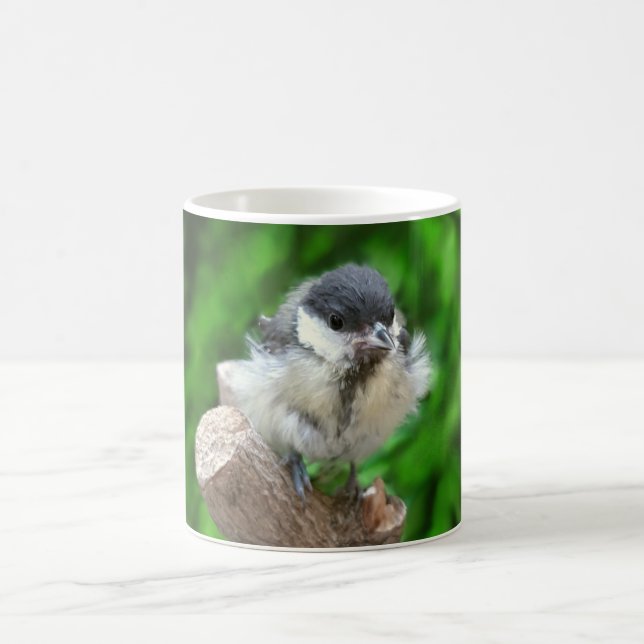 Caneca Mágica Tidi, meu Pássaro, o Parus Major (Centro)