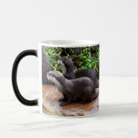 Totalmente Bonito, Lontra, Magic Morph Mug