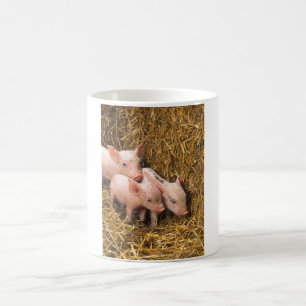 Caneca Mágica Três Porquinhos