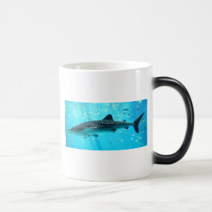 Caneca Mágica Tubarão-baleia azul-Na moda de-água marinha