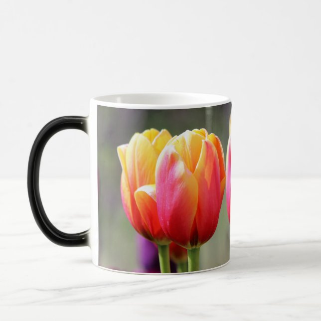 Caneca Mágica Tulipas de queda Achama (Esquerda)