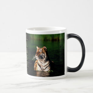 Caneca Mágica Tyger, Tyger