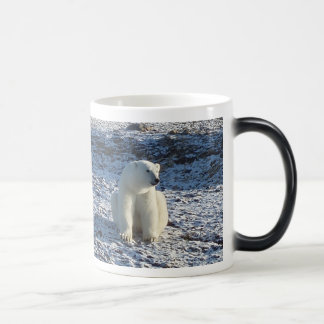 Caneca Mágica Urso polar ártico, frio ártico