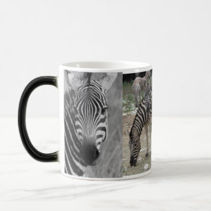 Caneca Mágica Zebra Safari Fofo Listras Africanas Elegantes