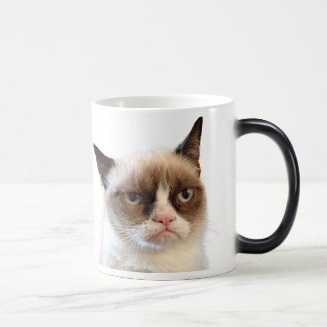 Caneca mal-humorada original do gato (Direita)