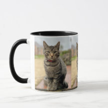 Malabarizando Daisies Ernest Photo Mug