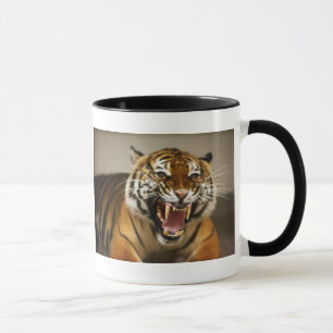 Caneca Malayan do tigre #2