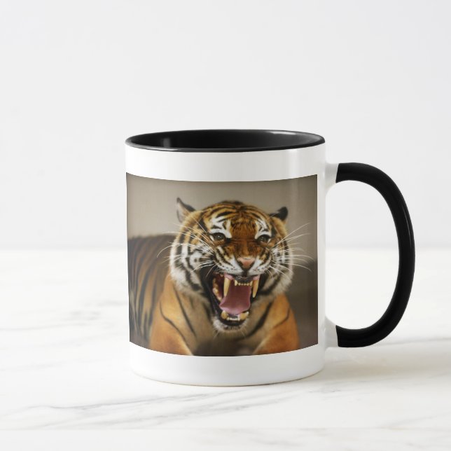Caneca Malayan do tigre #2 (Direita)