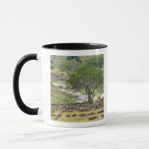Caneca Manada massiva de gnus durante a migração,