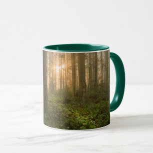Caneca Manhã nevoenta noroeste pacífica da floresta  
