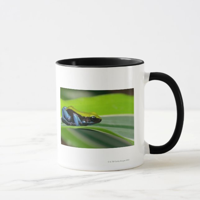 Caneca mantella Verde-suportado (Direita)