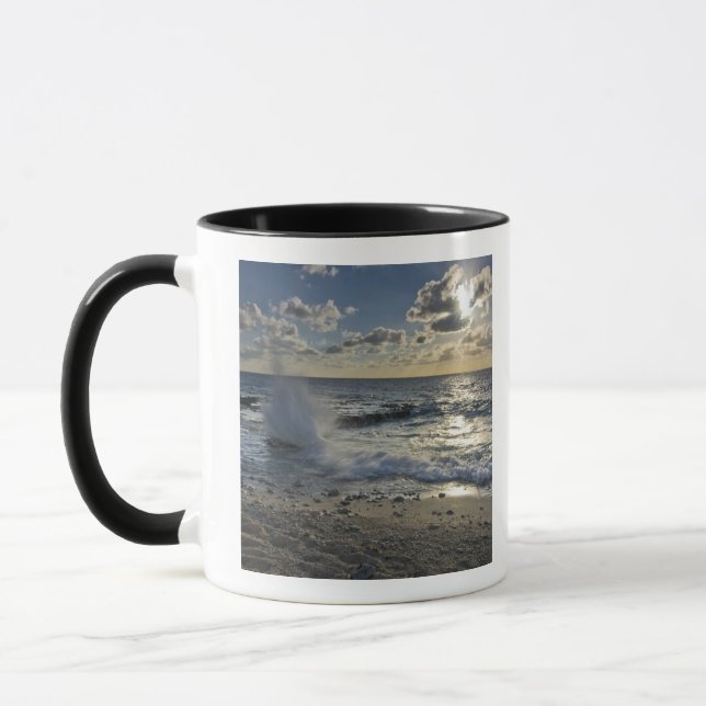 Caneca Mar Caribe, Ilhas Cayman.  Ondas em queda (Esquerda)