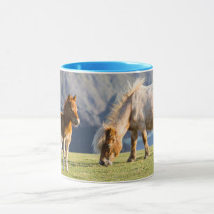 Caneca Mare com Foal, Ilhas Shetland, Escócia