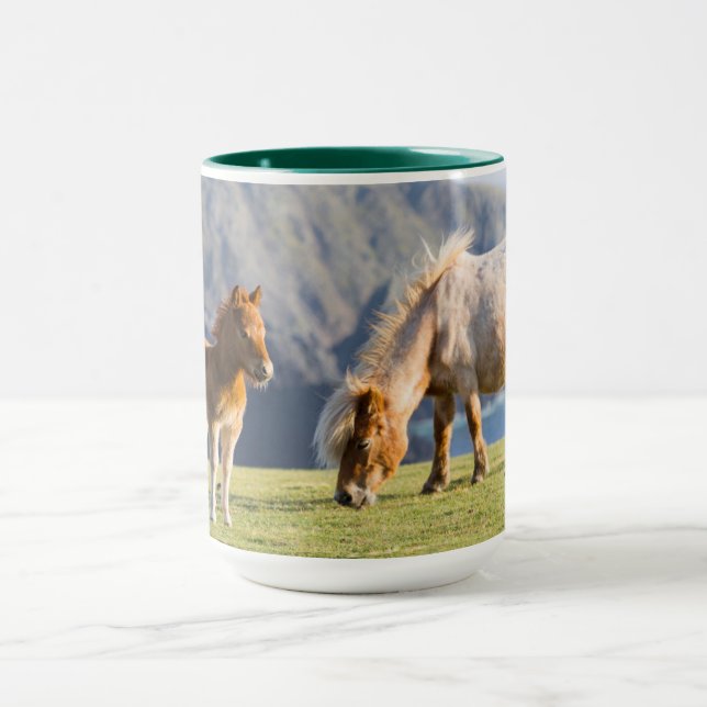 Caneca Mare com Foal, Ilhas Shetland, Escócia (Centro)