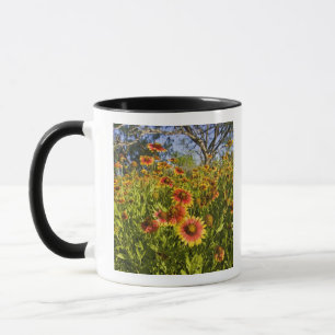 Caneca Margaridas-de-fogo (Gaillardia pulchella) flores s
