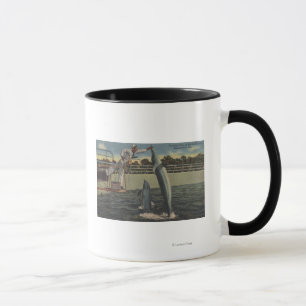 Caneca Marineland, Florida - opinião toninhas de