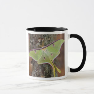 Caneca Mariposa-da-seda Luna