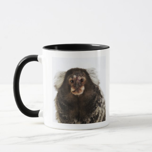 Caneca Marmoset orelhudo branco no ramo, fim acima, (Esquerda)