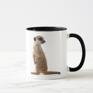 Caneca Meerkat ou Suricate - suricatta do Suricata