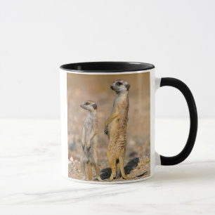 Caneca Meerkat (Suricata Suricatta) Sentinelas, Karas