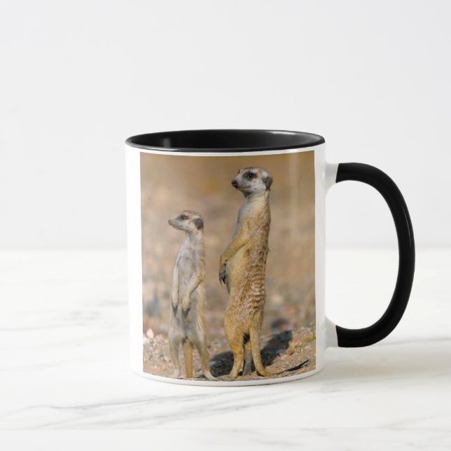 Caneca Meerkat (Suricata Suricatta) Sentinelas, Karas (Direita)