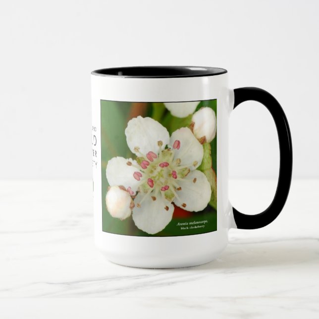 Caneca Melanocarpa de Aronia, chokeberry preto (Direita)
