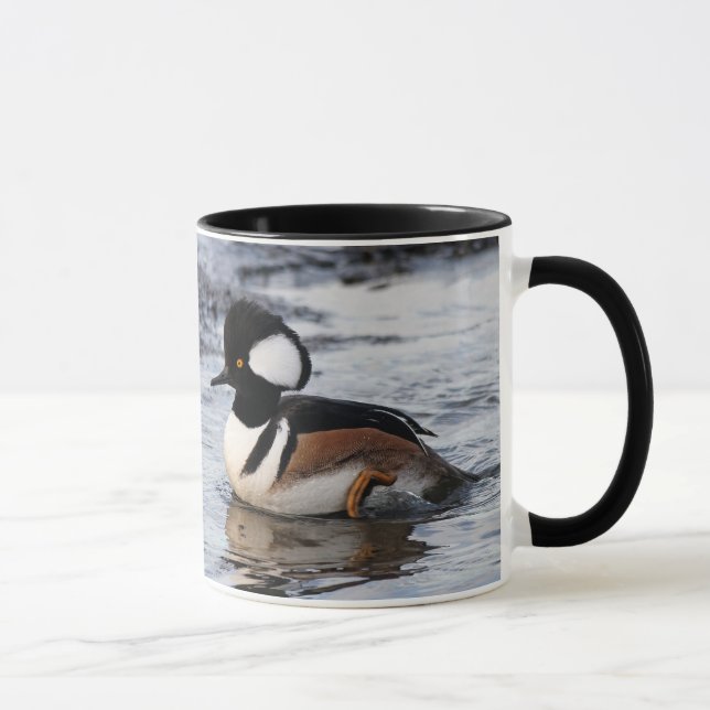 Caneca Merganser Hooded bonito em movimento (Direita)
