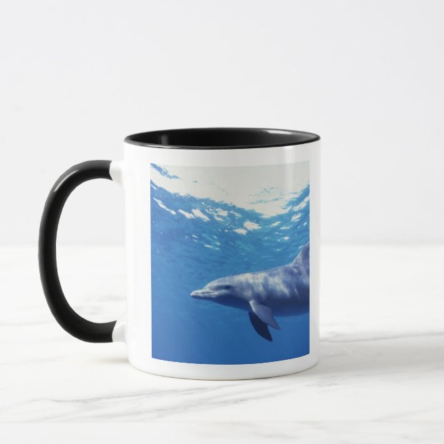 Caneca México, Cozumel. Golfinho Estrangulado, Tursiops 3 (Esquerda)