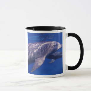 Caneca México, Cozumel. Golfinho Nariz de Garrafa, Tursio