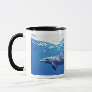Caneca México, Cozumel. Golfinho Nariz-de-Garrafa, Tursio