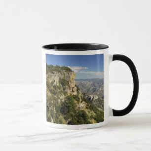 Caneca México, Estado de Chihuahua, Copper Canyon. ESTA