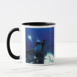 Caneca Micronésia, Palau, Patrimônio Mundial. Divers