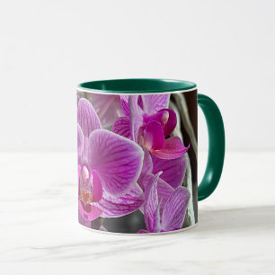 Caneca Mini Phalaenopsis Sogo Vivien Purple Orchid Flower