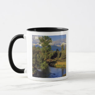 Caneca Mission Creek na Faixa Nacional de Bison em