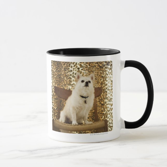 Caneca Mistura de Pomeranian (Direita)