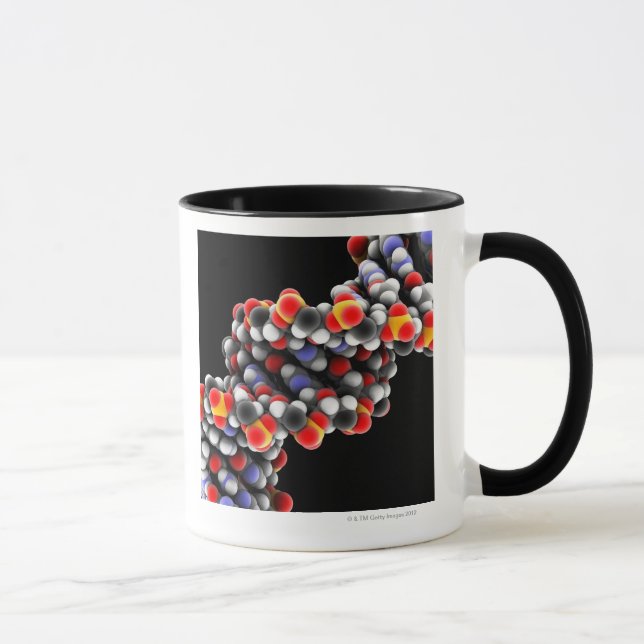 Caneca Molécula do ADN. Modelo molecular do ADN (Direita)