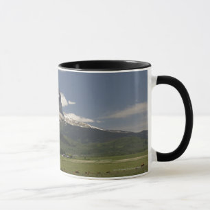 Caneca Montanha principal com os pastos de pastar o gado