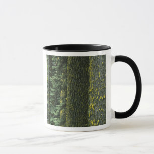Caneca Monte Ashland, Floresta Nacional Rogue River,